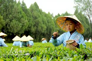 投射靓仔！莺歌19中9贡献21分3篮8助 末节标志性中投助队获胜